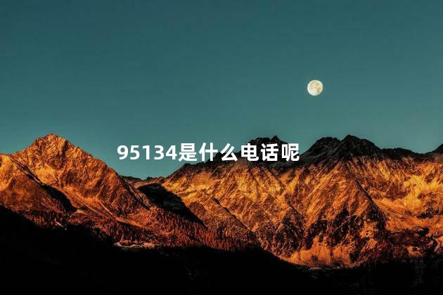 95134是什么电话呢