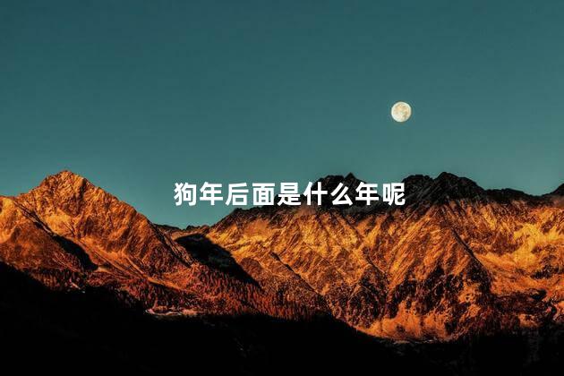 狗年后面是什么年呢