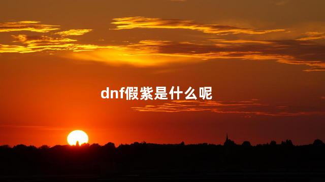 dnf假紫是什么呢