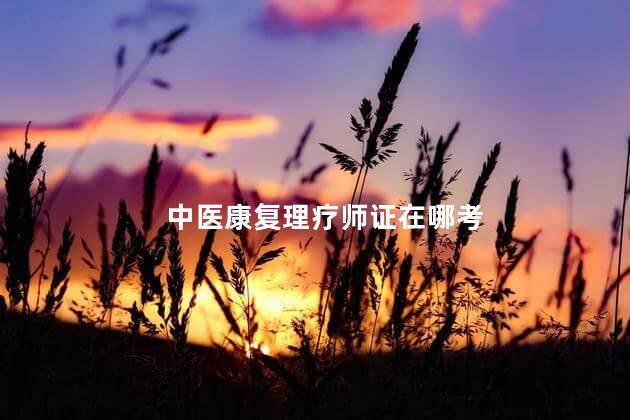 中医康复理疗师证在哪考