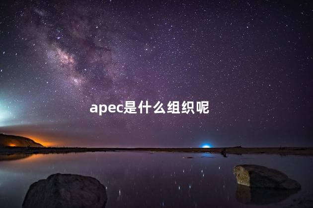 apec是什么组织呢