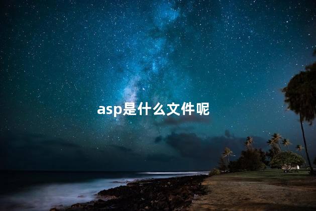 asp是什么文件呢