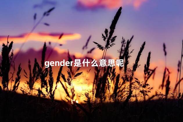 gender是什么意思呢