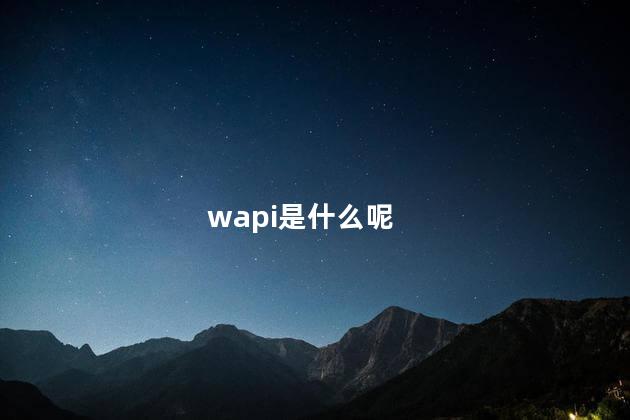 wapi是什么呢