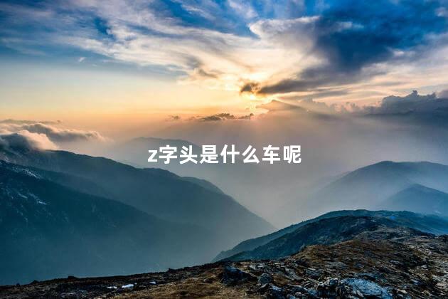 z字头是什么车呢