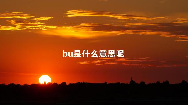 bu是什么意思呢