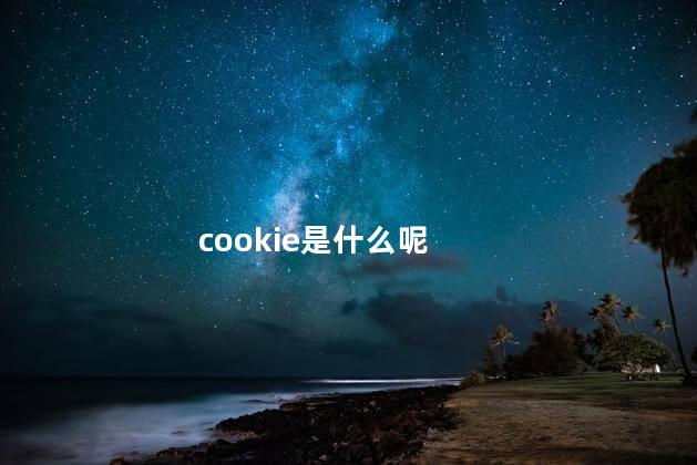 cookie是什么呢