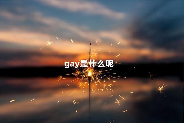 gay是什么呢