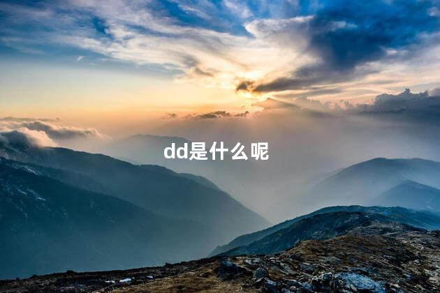 dd是什么呢