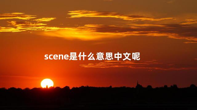 scene是什么意思中文呢