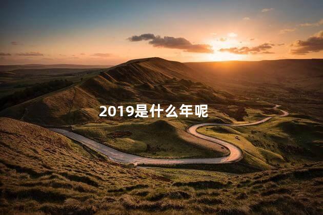 2019是什么年呢