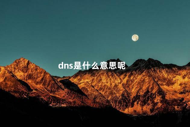 dns是什么意思呢