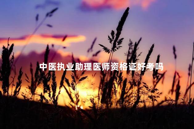 中医执业助理医师资格证好考吗