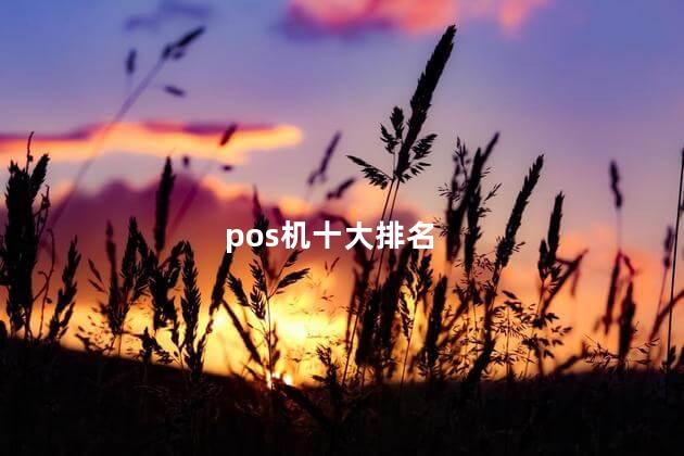 pos机十大排名