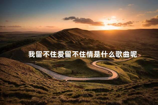 我留不住爱留不住情是什么歌曲呢