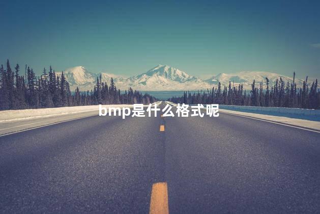 bmp是什么格式呢