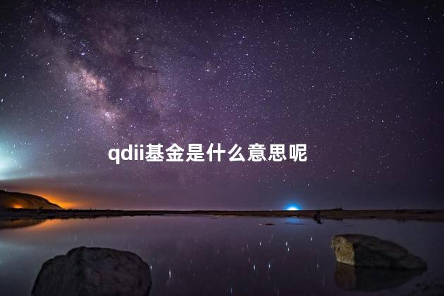 qdii基金是什么意思呢