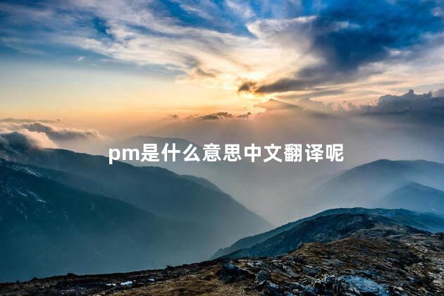 pm是什么意思中文翻译呢