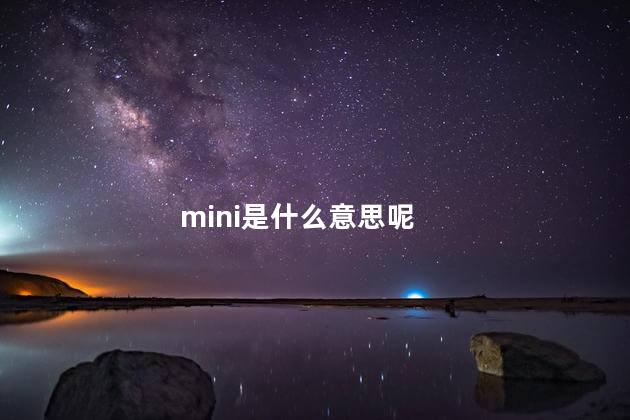 mini是什么意思呢