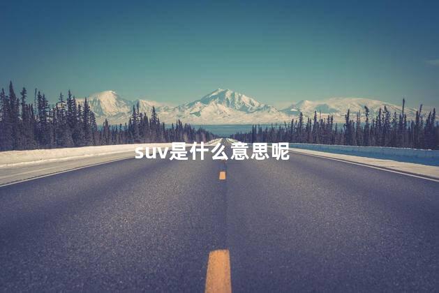 suv是什么意思呢