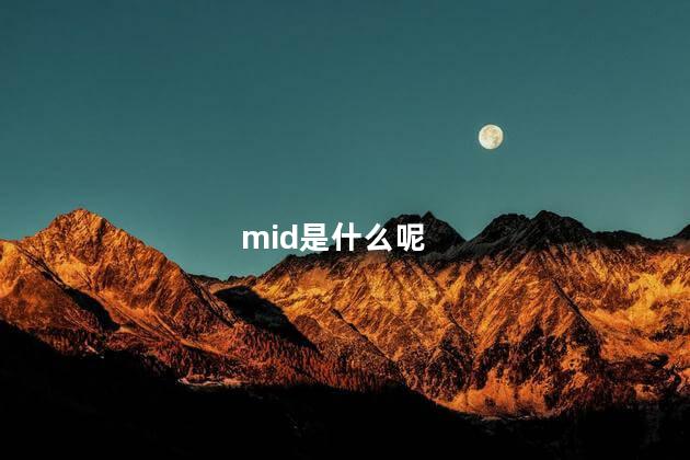 mid是什么呢