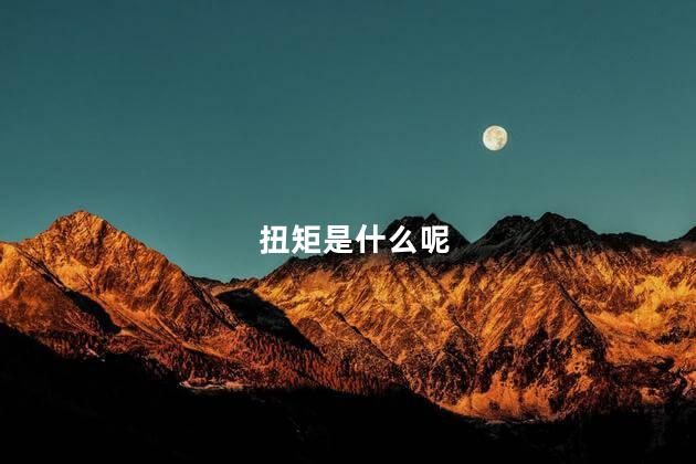 扭矩是什么呢