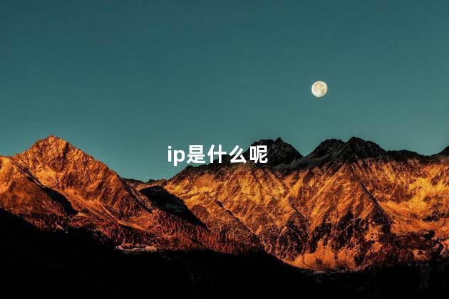 ip是什么呢