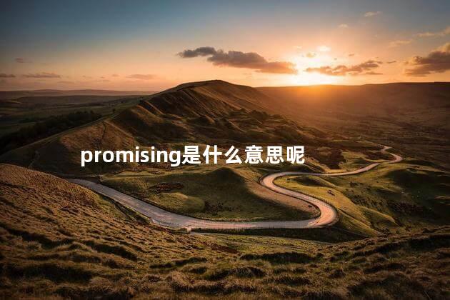 promising是什么意思呢