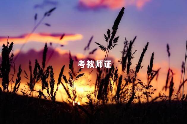 考教师证