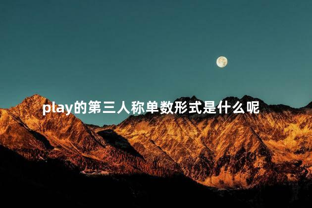 play的第三人称单数形式是什么呢