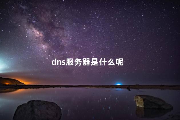 dns服务器是什么呢