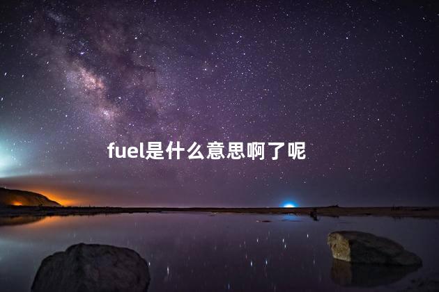 fuel是什么意思啊了呢