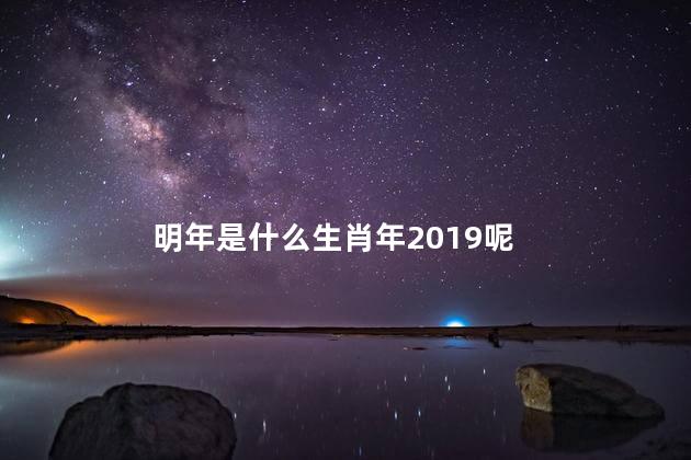 明年是什么生肖年2019呢