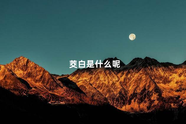 茭白是什么呢