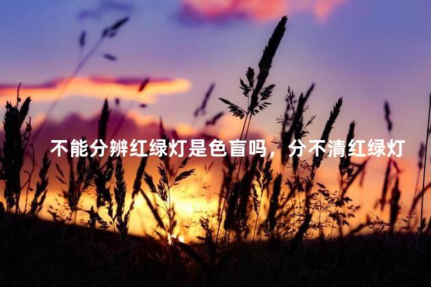 不能分辨红绿灯是色盲吗，分不清红绿灯是色盲吗