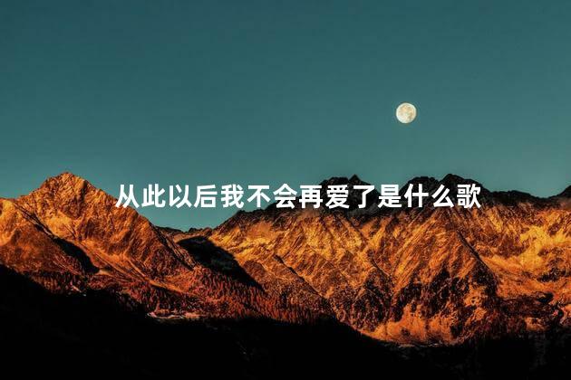 从此以后我不会再爱了是什么歌 从此以后不会有我是什么歌