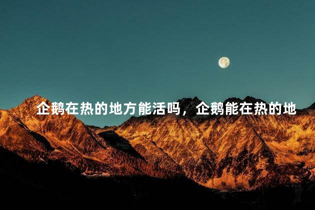 企鹅在热的地方能活吗，企鹅能在热的地方生存吗