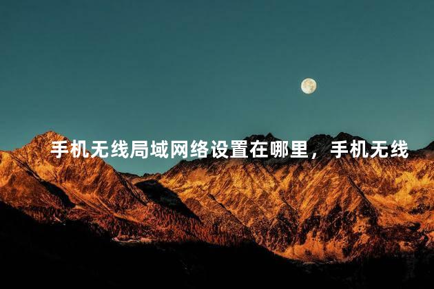 手机无线局域网络设置在哪里，手机无线局域网络怎么设置