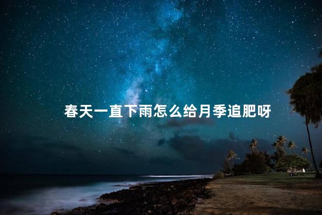 春天一直下雨怎么给月季追肥呀，春天月季追肥的方法