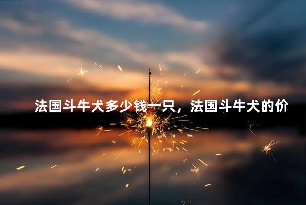 法国斗牛犬多少钱一只，法国斗牛犬的价格是多少