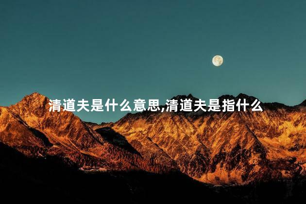 清道夫是什么意思,清道夫是指什么