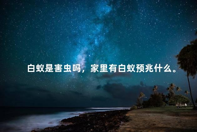 白蚁是害虫吗，家里有白蚁预兆什么。