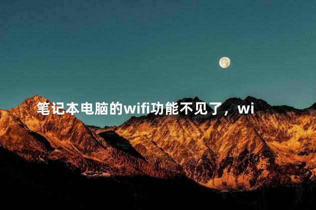 笔记本电脑的wifi功能不见了，win11突然没有了WLAN选项