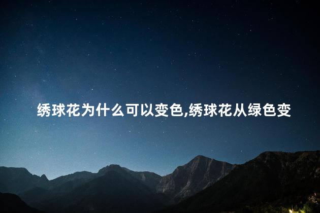 绣球花为什么可以变色,绣球花从绿色变红色